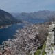 Kotor - view from flag level - Meanderbug