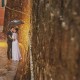 Rainy, romantic wedding day - photo by Alexander Jaredic