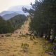 Frozen Peaks Trail Run in Greece