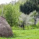 Montenegro agritourism in Spring