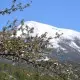 Vukadinovic organic orchard near Mojkovac, Montenegro