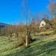 Orchard view of farm stay house