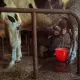 Villager milking the cows