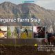 Organic Farm Stay