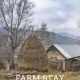 The story behind Montenegro farm stay