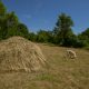 Baby haystacks are cute - Klinci Village
