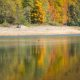 Fall colors at Biogradska Gora Lake in northern Montenegro