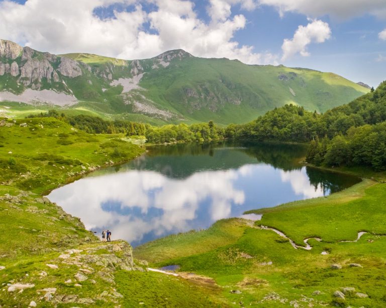 Exploring Biogradska Gora National Park in Montenegro | Book Unique ...