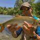 Catching a nase while fly fishing Montenegro