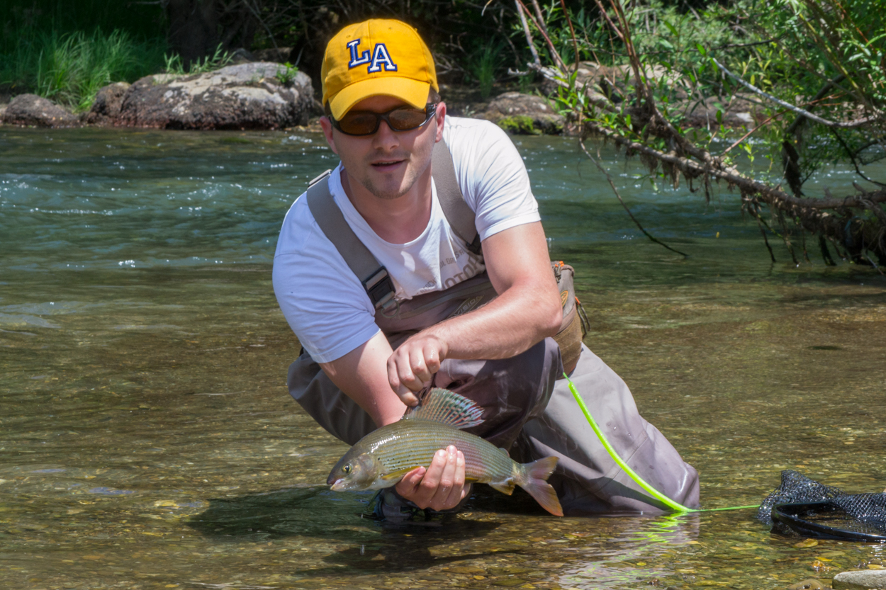Fly fishing grayling in Lim River
