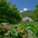 mitric farm stay greenhouse and garden near Piva Lake