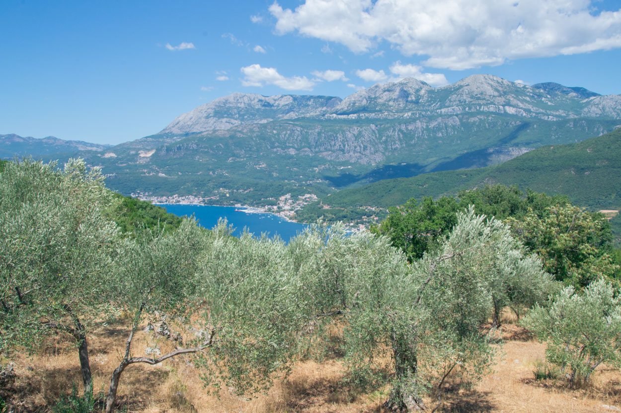 Old Mill Farm stay situated above the Bay of Kotor