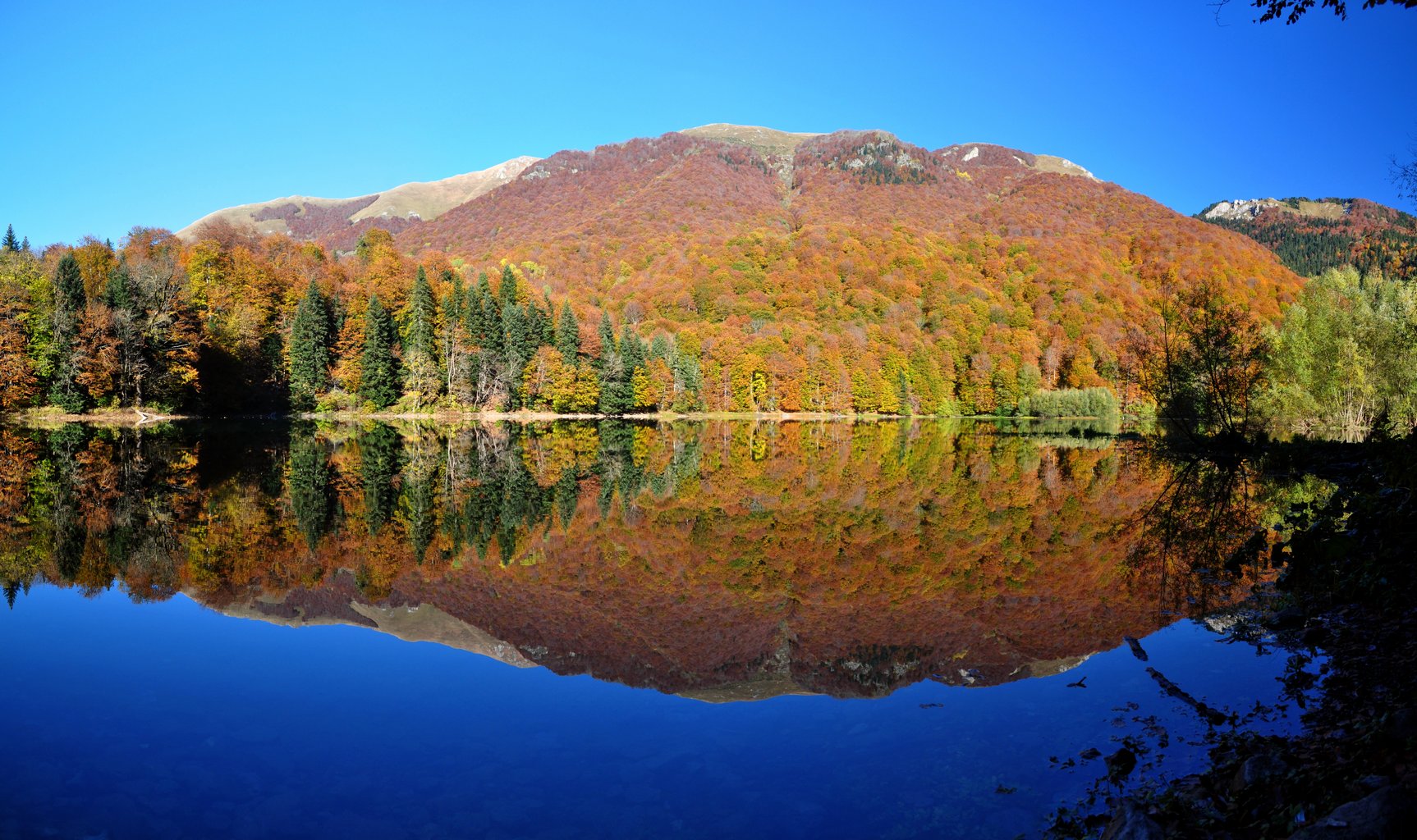 12+ Best Places to Stay Near Biogradska Gora National Park in Northern Montenegro