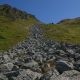 Stone Run in Biogradska Gora National park