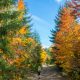 Fall hiking in Northern Montenegro
