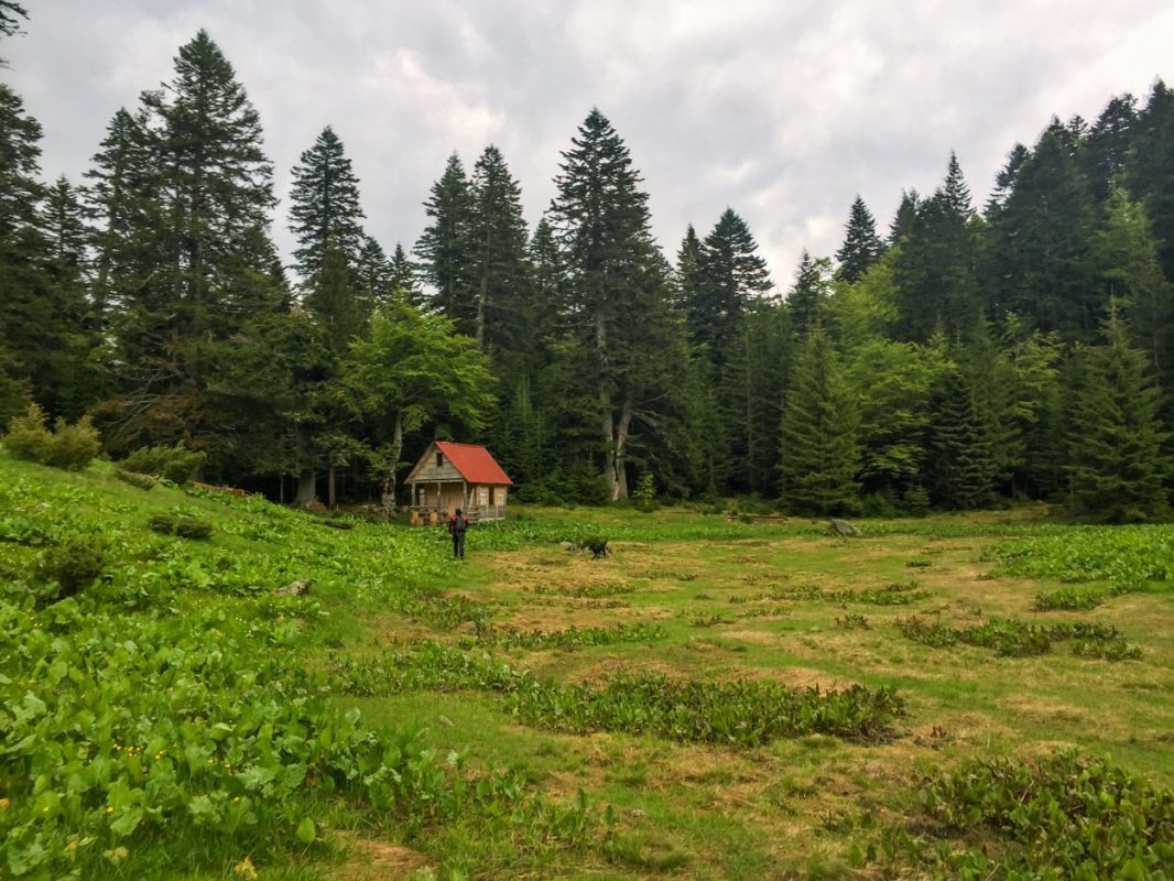 Pesic Katun in Biogradska Gora National Park - Montenegro 