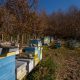 Beehives at apiary in northern Montenegro