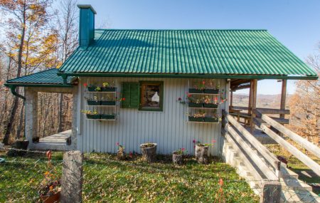 Beekeeper's Cabin Farm Stay