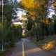 biking lane in Podgorica