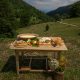 Organic farm to table foods with scenic view