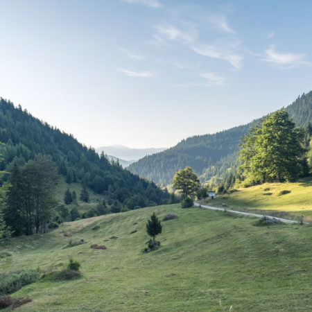 Suvodo Katun in Biogradska Gora National Park - Montenegro | Book ...