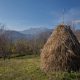 Haystack with mountain views
