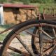 Antique farm equipment pulled by donkeys