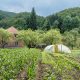 Bulatovic Farm Stay Near Lake Biograd