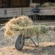 Hay being gathered for livestock on the farm