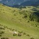 Wild horses along The Katun Road Hut to Hut in Northern Montenegro