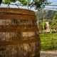 vintage wine barrel near Virpazar, Montenegro