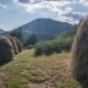 Fern Farm nears harvest season in northern Montenegro
